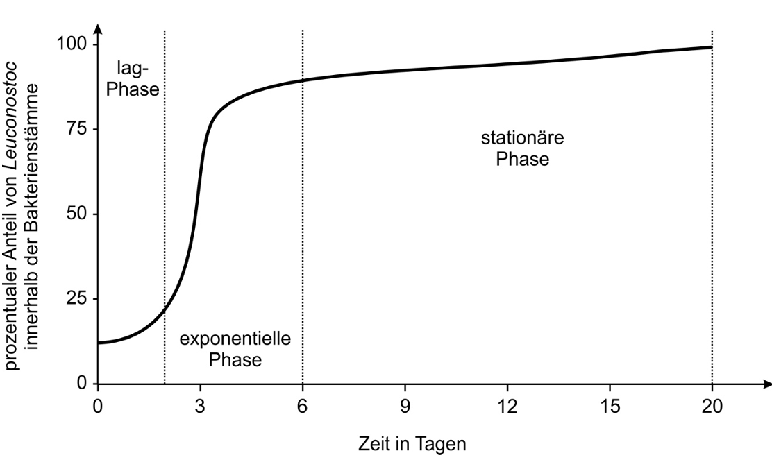 Diagramm: prozentualer Anteil von Leuconostoc über 20 Tage, zeigt Lag-, exponentielle und stationäre Phase.